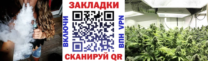 Бошки Шишки Боготол