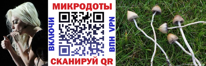 blacksprut ссылки  сколько стоит  Боготол  Галлюциногенные грибы Cubensis 